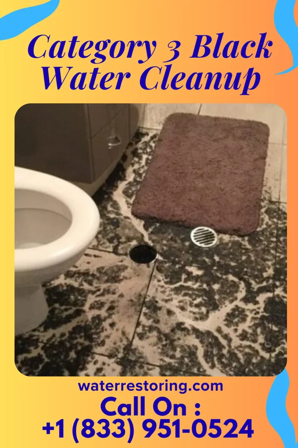 Category 3 Black Water Cleanup in Orwell, OH